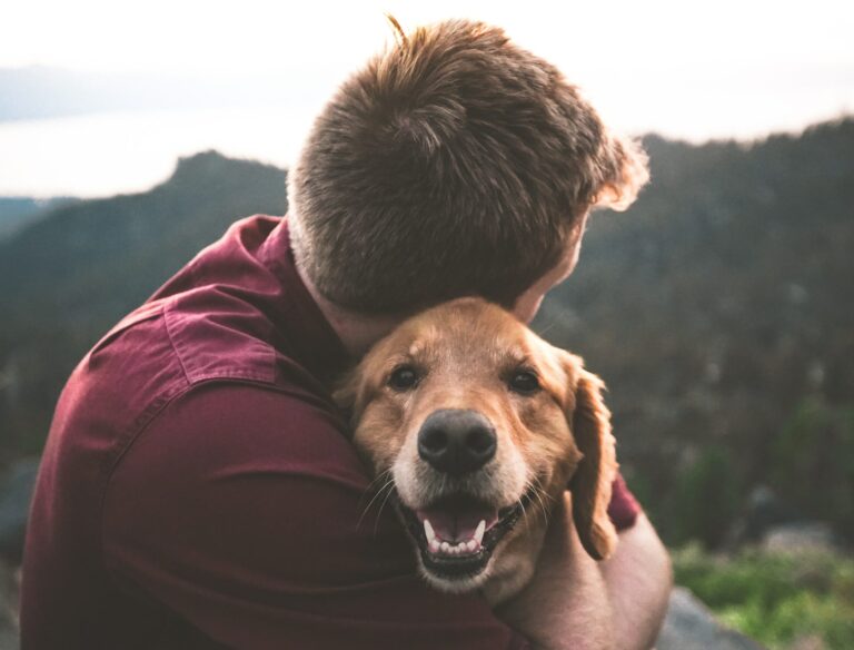Ajuda do pet na depressão